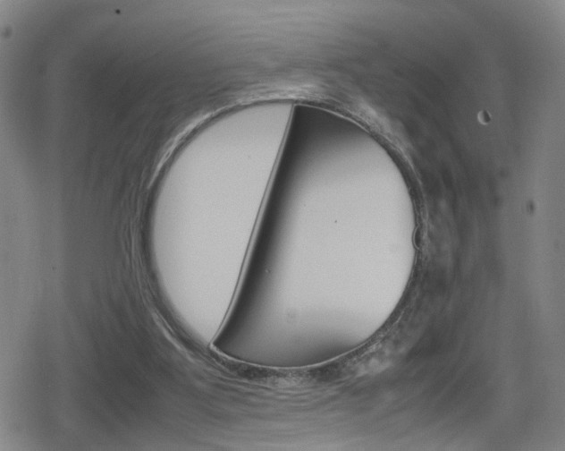 X0000080120107200612080941
