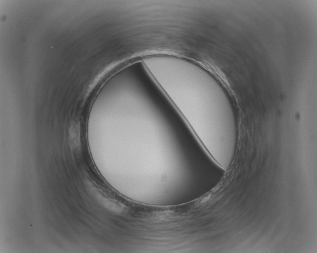 X0000080120108200612080941