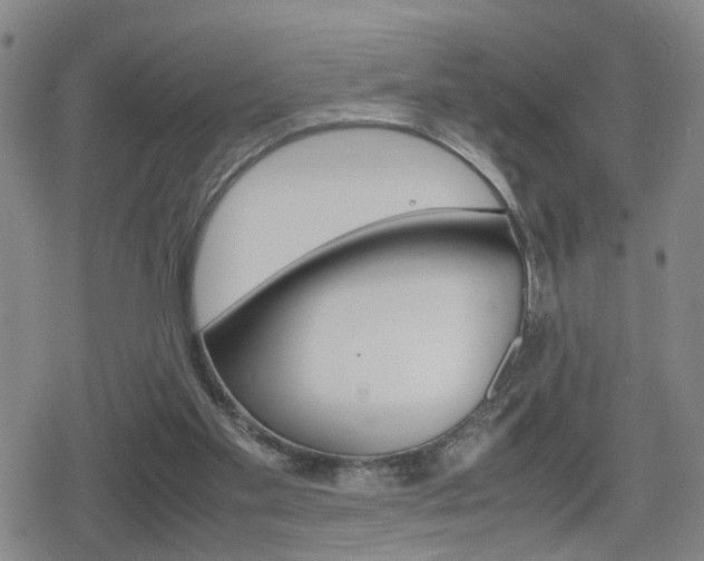 X0000080120109200612080941