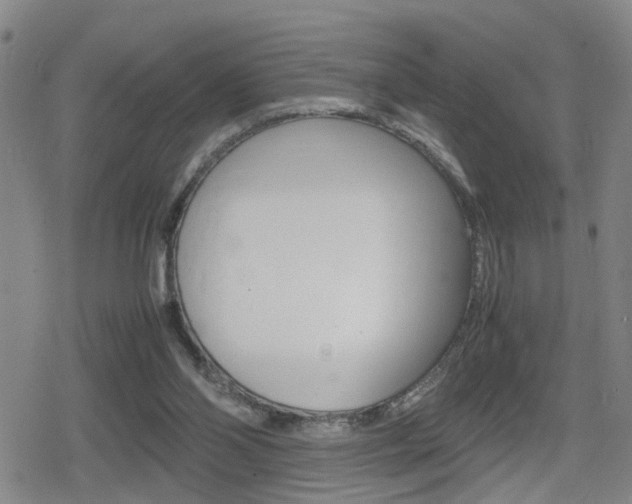 X0000080120110200612080941