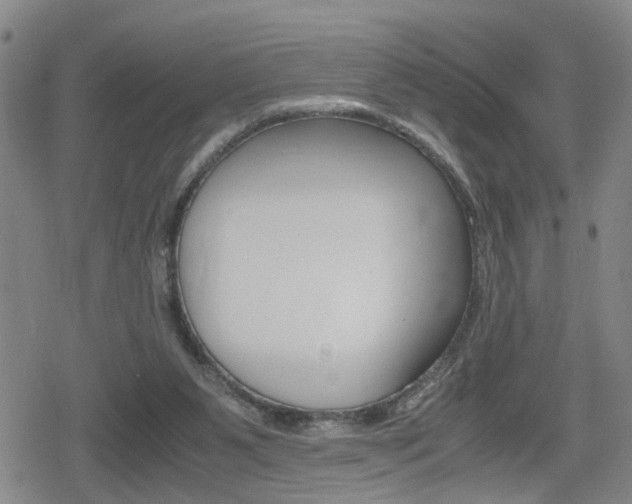 X0000080120111200612080941