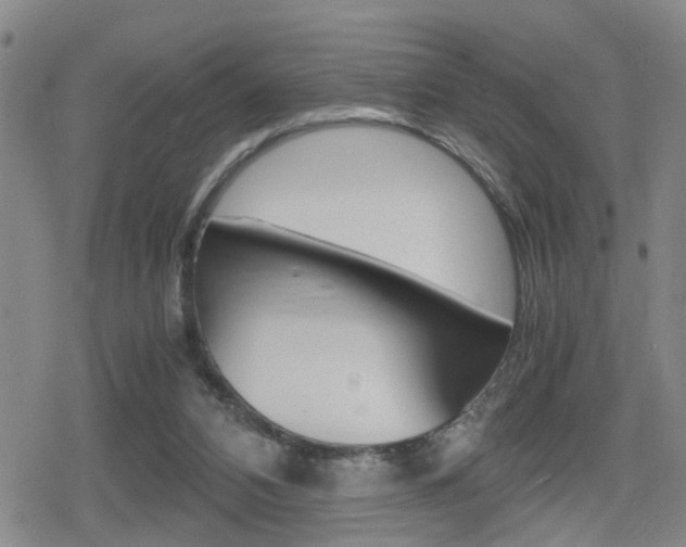 X0000080120112200612080941