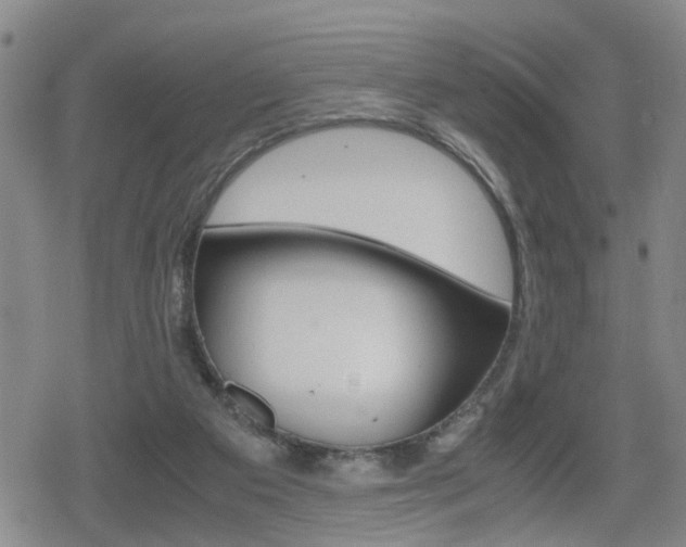 X0000080120113200612080941