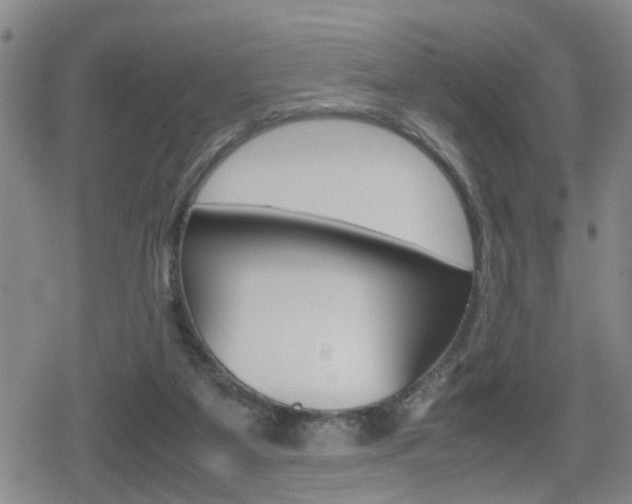 X0000080120115200612080941