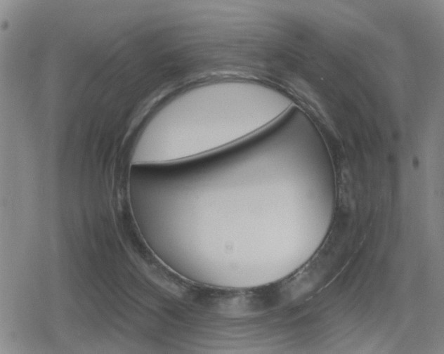 X0000080120116200612080941