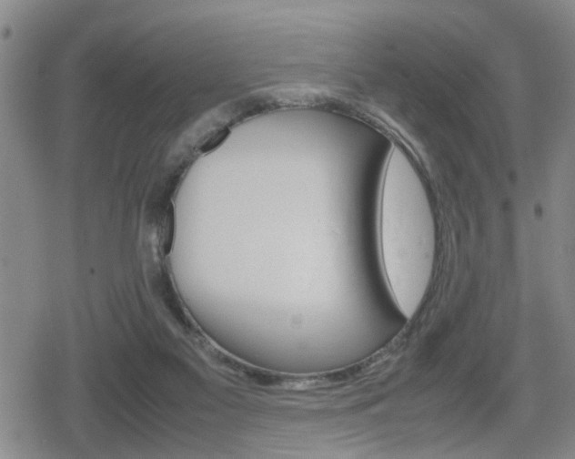 X0000080120117200612080941