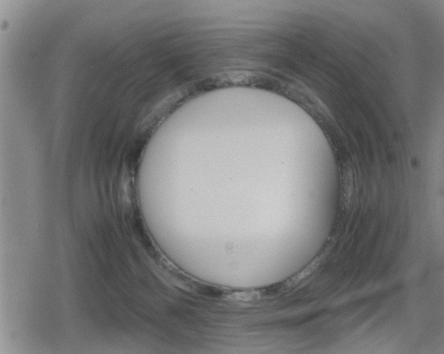 X0000080120126200612080941