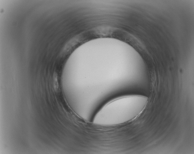 X0000080120128200612080940