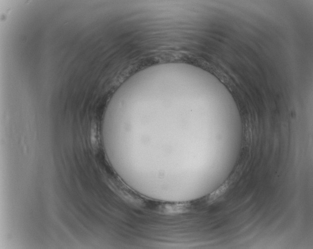 X0000080120134200612080940