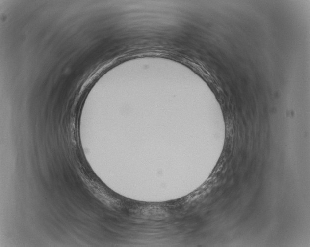 X0000080120146200612080939