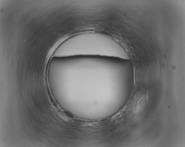 X0000080120147200612080939