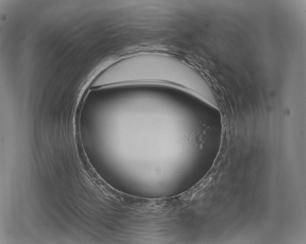 X0000080120148200612080939