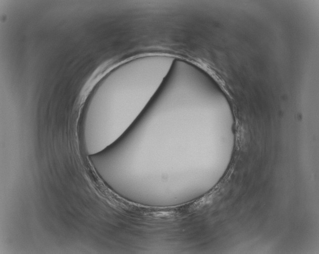 X0000080120151200612080940