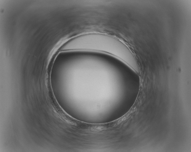 X0000080120152200612080940