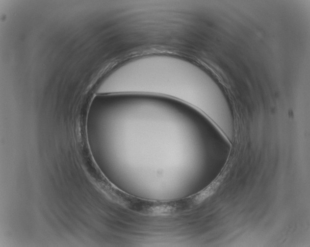 X0000080120158200612080940