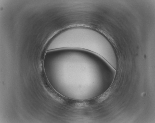 X0000080120160200612080940