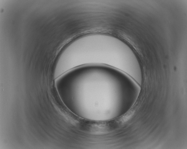 X0000080120164200612080940