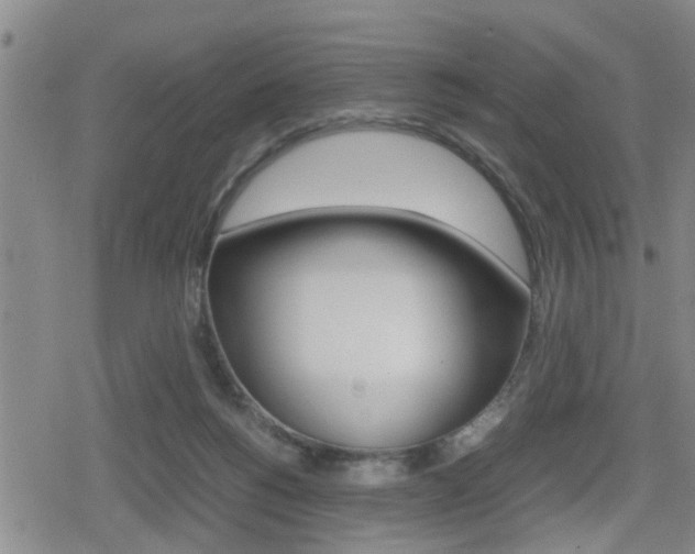 X0000080120168200612080940