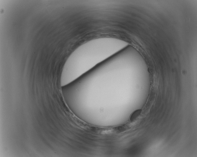 X0000080120173200612080940