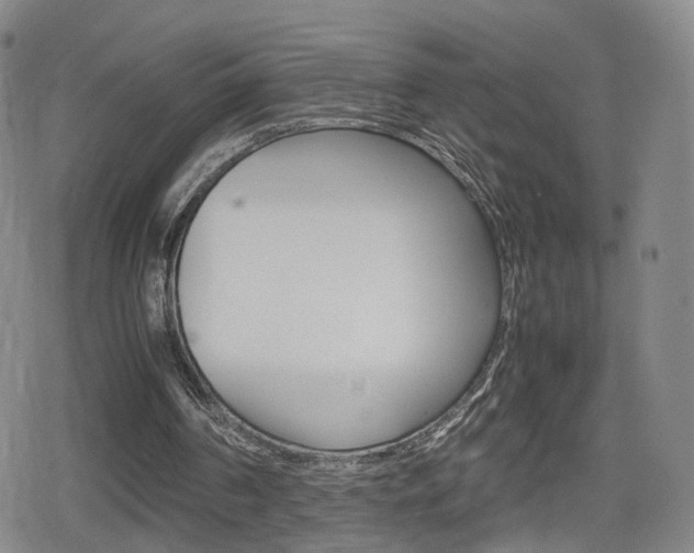 X0000080120194200612080939