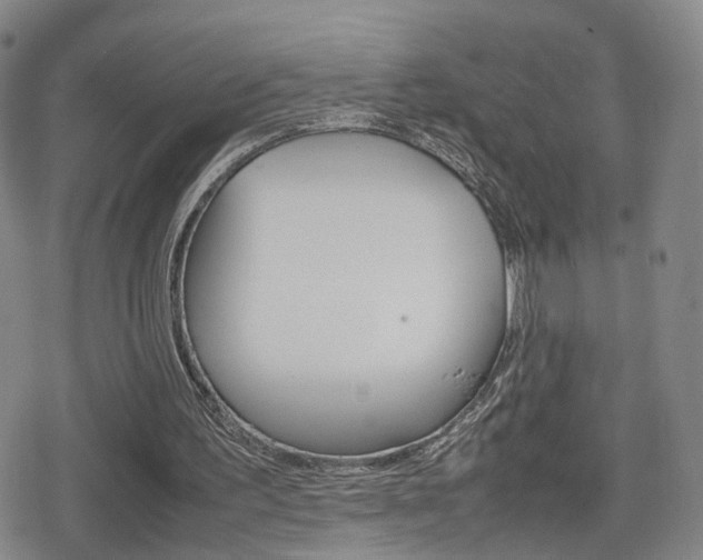 X0000080120195200612080939