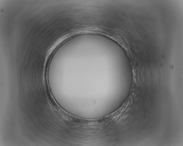 X0000080120196200612080939