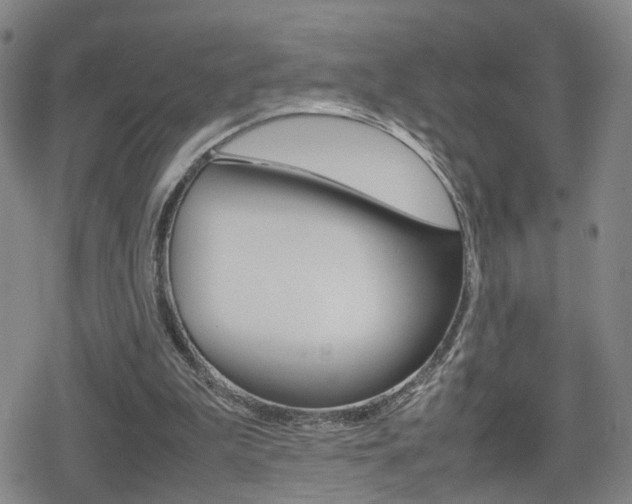 X0000080120199200612080939