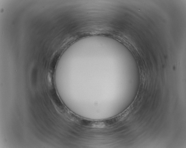 X0000080120214200612080939