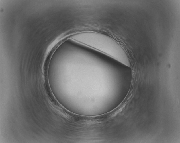 X0000080120246200612080938