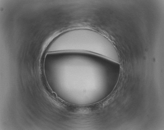 X0000080120248200612080938