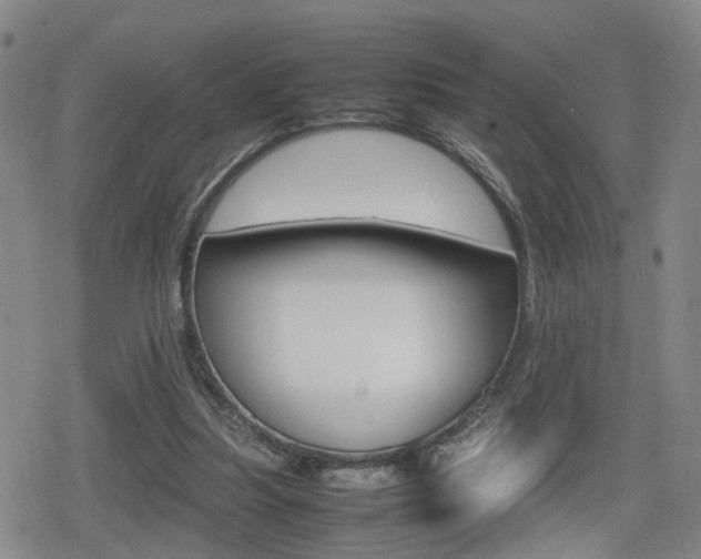 X0000080120251200612080938