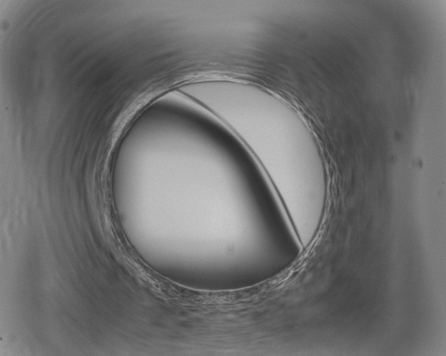 X0000080120289200612080938