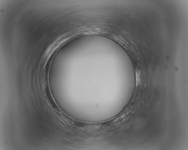 X0000080120291200612080938