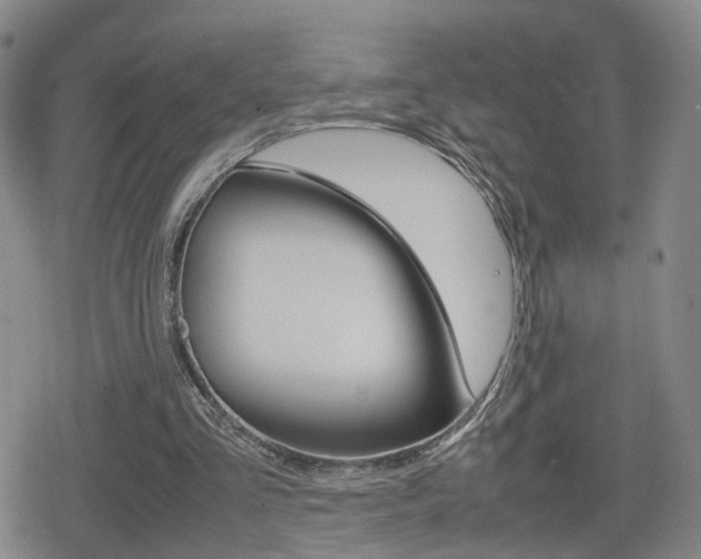 X0000080120293200612080938