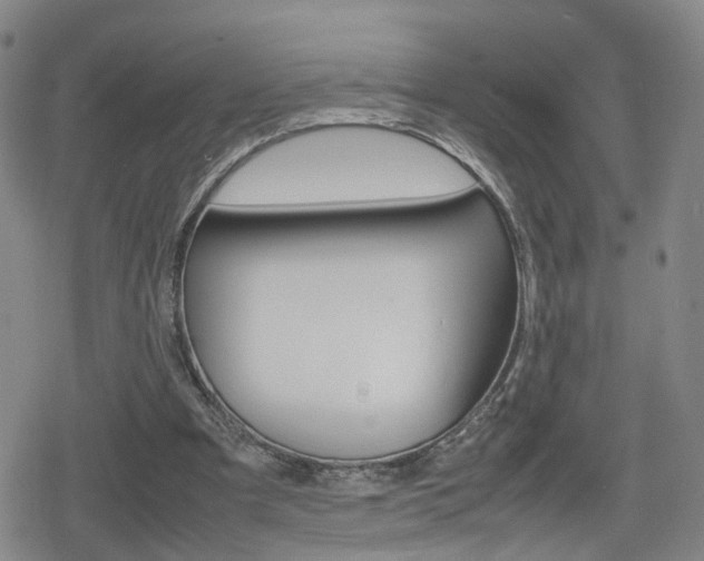 X0000080120297200612080938