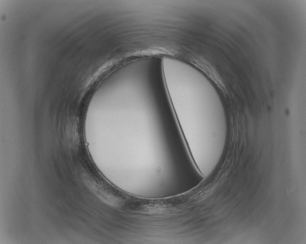 X0000080120300200612080938