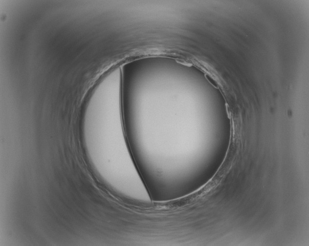 X0000080120301200612080938