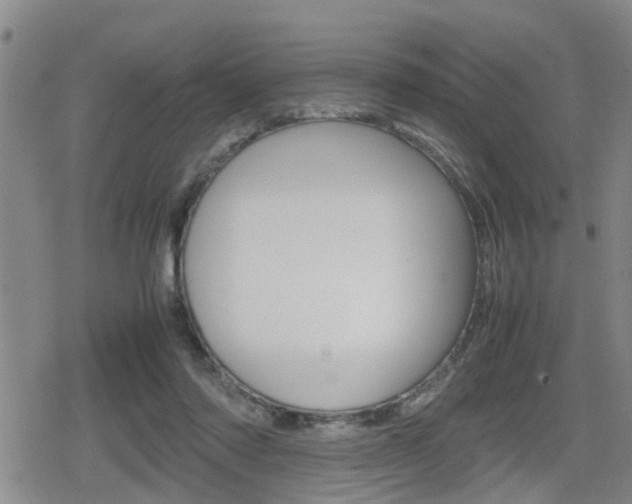 X0000080120310200612080937