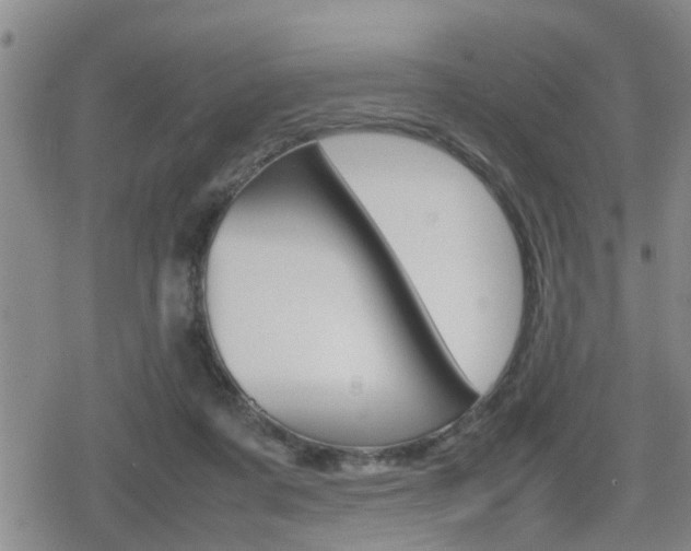 X0000080120311200612080937