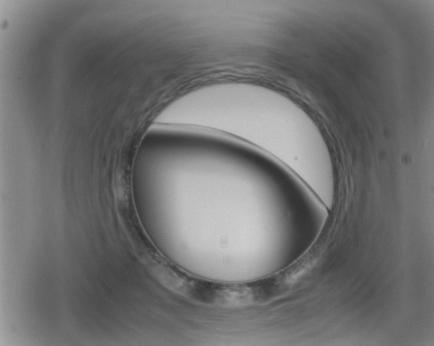 X0000080120317200612080937
