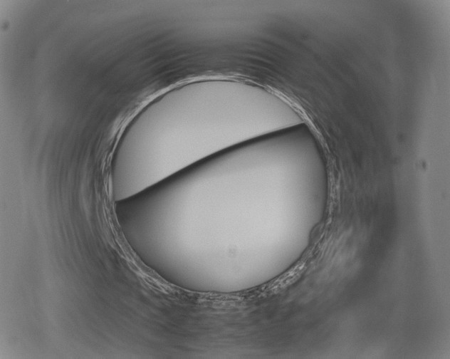 X0000080120337200612080936