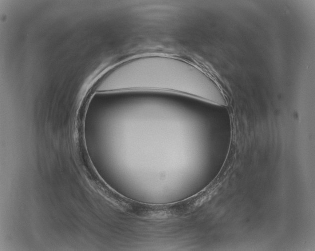 X0000080120344200612080936