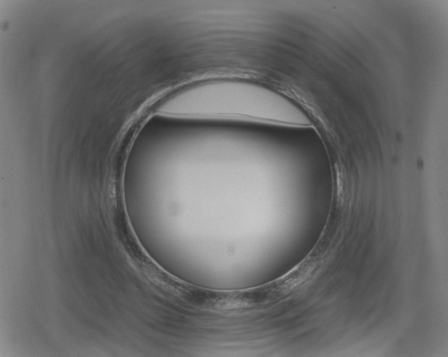 X0000080120348200612080936