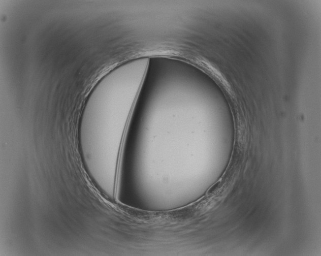 X0000080120385200612080936