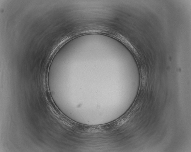 X0000080120386200612080936