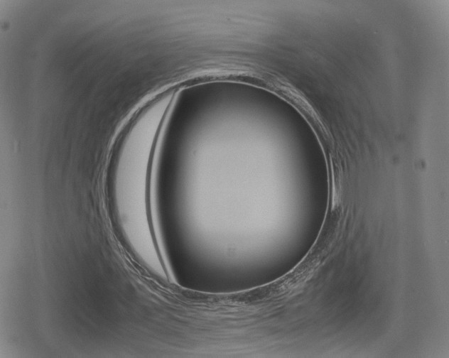 X0000080120387200612080936