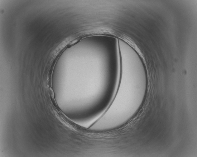 X0000080120389200612080936