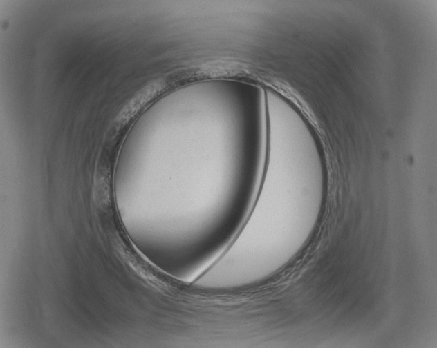 X0000080120393200612080936