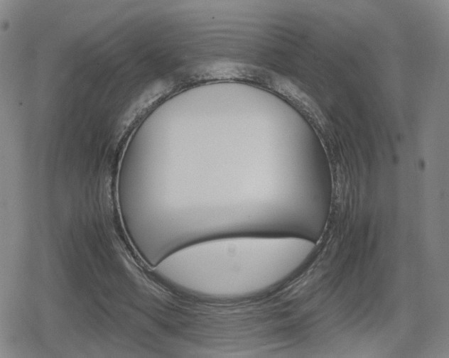 X0000080120394200612080936