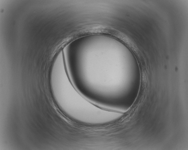 X0000080120397200612080936
